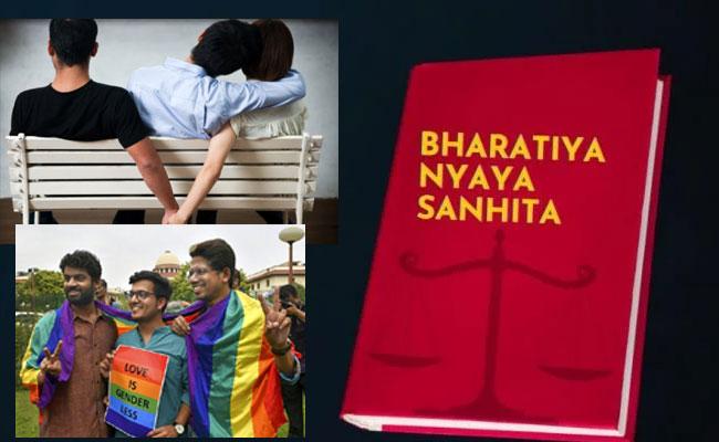 Legal document showing proposed changes to Section 497 of the IPC, Pages of the Indian Penal Code with highlighted Section 497, Indian Penal Codeparliamentary panel may recommend reinstating section 377, 497, Government officials discussing the Indian Penal Code Bill, 