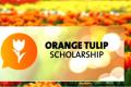 Orange Tulip Scholarship India
