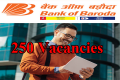 250 Vacancies in Bank of Baroda  Recruitment Advertisement Bank of Baroda