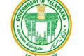 TS government jobs