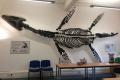Pliosaur Discovered in England