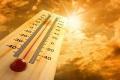 Next five years are expected to be warmest period on record : UN