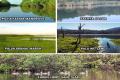 Five new Ramsar sites in the country    5 New Ramsar Wetlands Revealed