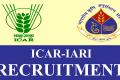 Recruitments at Indian Agricultural Research Institute New Delhi   ICAR-IARI Research Associate position  ICAR-IARI Senior Research Fellow position  ICAR-IARI Young Professional-2 position 