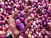 Export policy update  Indian Government Lifts Ban on Onion Exports  Union Commerce and Industry Department announcement