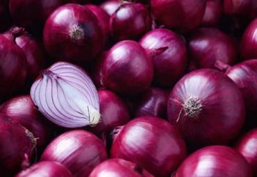 Govt Allows Export Of 99,150 Metric Tons Of Onion To 6 Countries