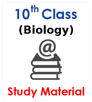 sakshi 10th Class Study Material 