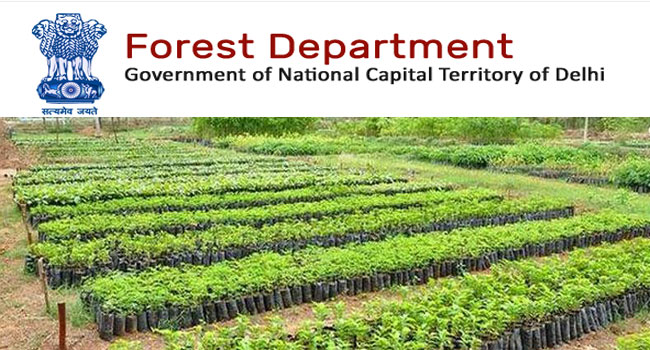 Department Of Forests And Wildlife Recruitment 2022 Assistant Conservator Of Forests