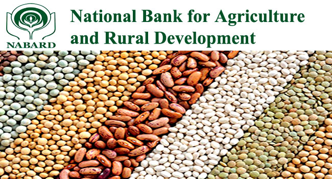 National Bank for Agriculture and Rural Development 