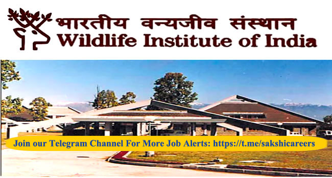 wildlife institute of india phd admission 2023