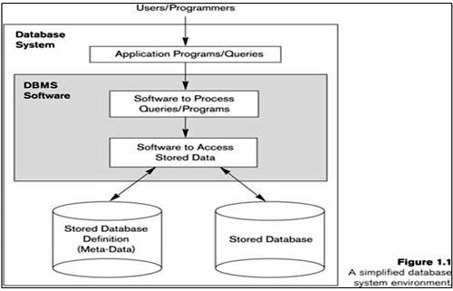 2 Tier Architecture in DBMS, Database Management System