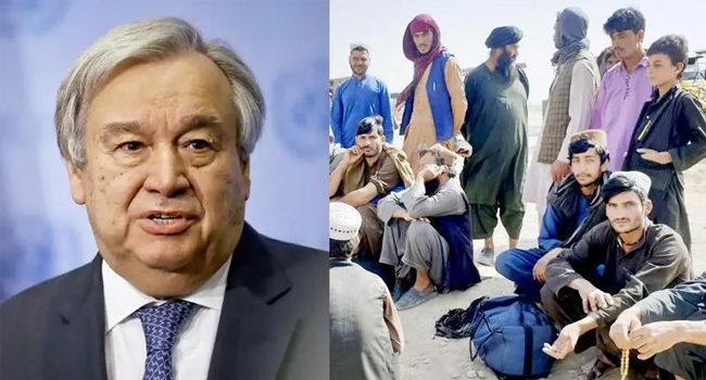 India urges global community help Afghanistan