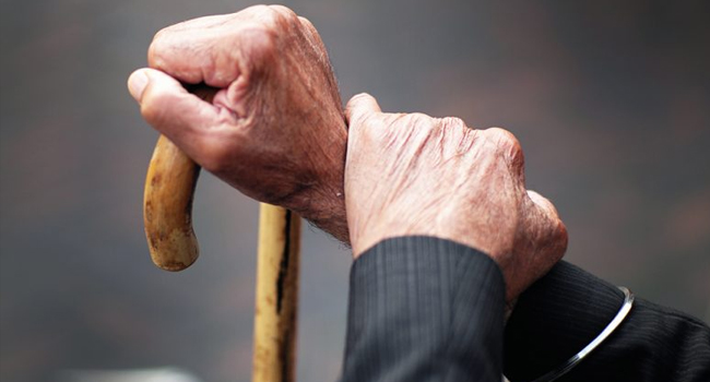 Government to organise Vayo Naman Programme in honour of senior citizens