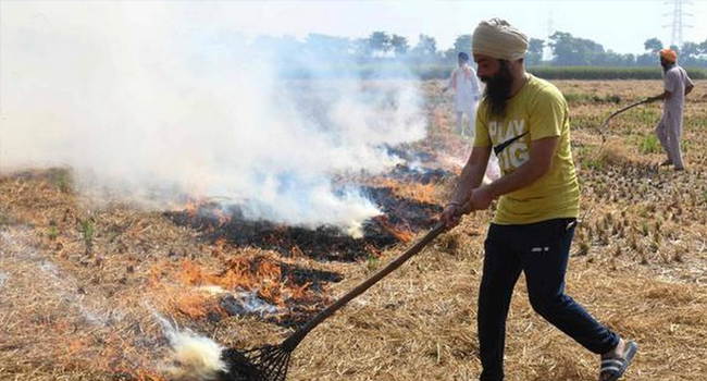 Report: India at top in Emissions related to Crop Burning