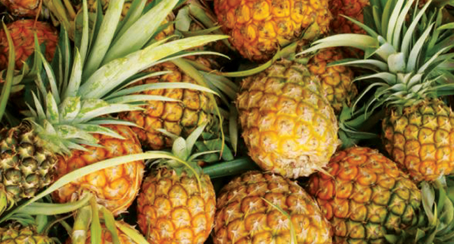 Tripura pineapple