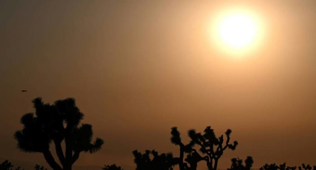 UN confirms 2021 among seven hottest years on record