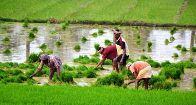 All-India CPI Numbers for agricultural, rural laborers for Dec increased by 5 points