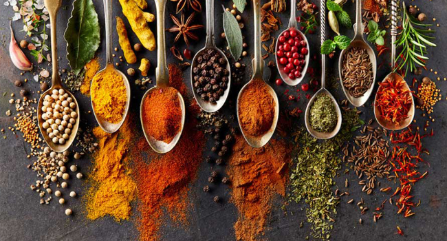 Spice Xchange India Portal