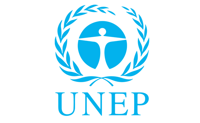 UNEP Frontiers Report