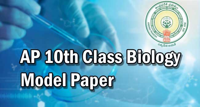 AP Tenth Class 2022 Biology (TM) Model Question Paper 1