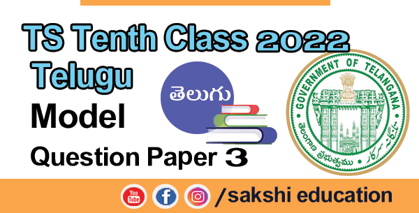 TS Tenth Class 2022 Telugu Model Question Paper 3