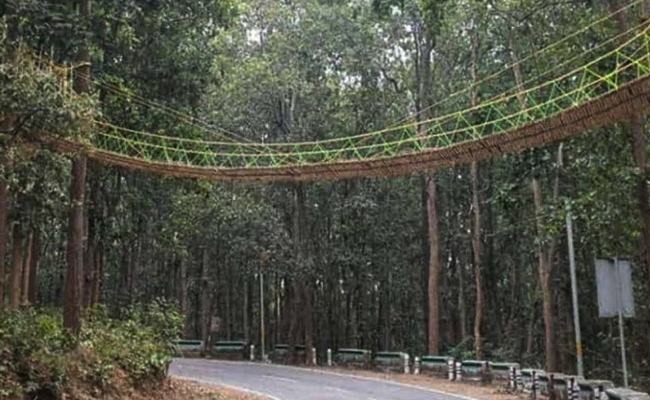 first Eco-friendly bridge in Telangana State
