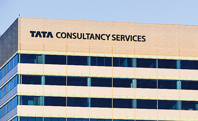 tcs national qualifier test preparation tips for software jobs