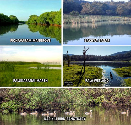 GoI Designates 5 New Ramsar Sites, taking total number to 54