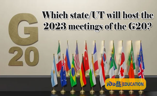 the 2023 meetings of the G20