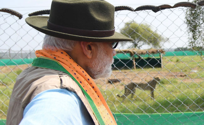 PM Narendra Modi launched world’s first Cheetah Rehabilitation Project