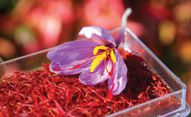 Saffron from Kashmir GI-tagged on sites both domestic and abroad