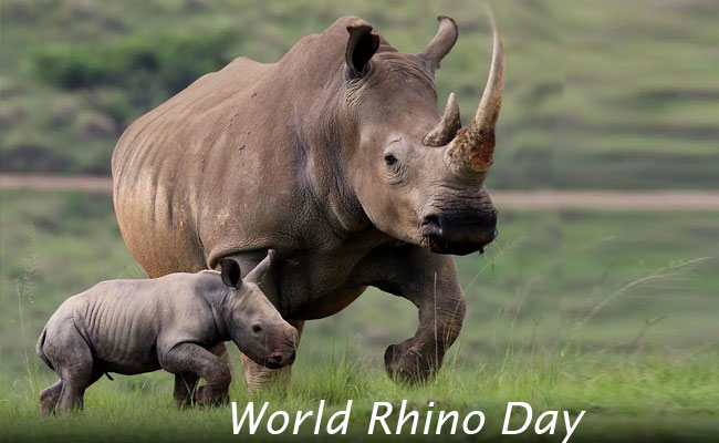 World Rhino Day 2022 observed on 22 September
