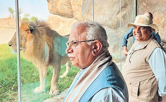 World’s largest safari park to be developed in Gurugram