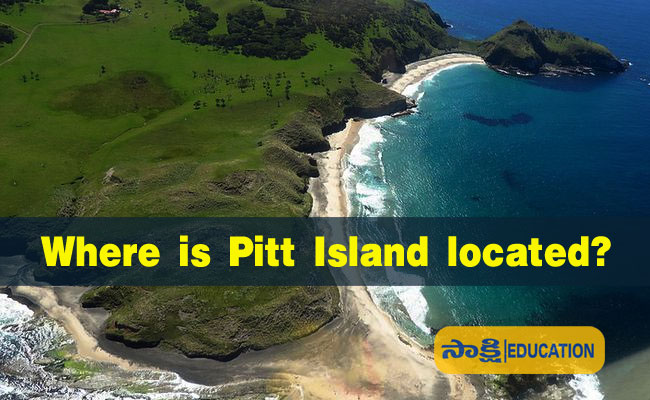 Where is Pitt Island located?
