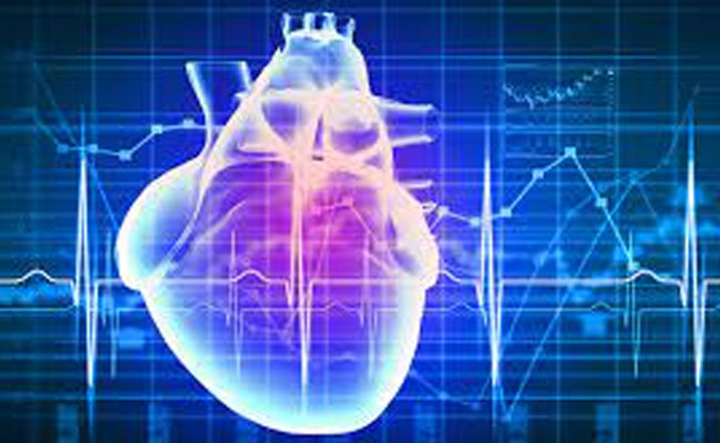 Modeling Heart Development