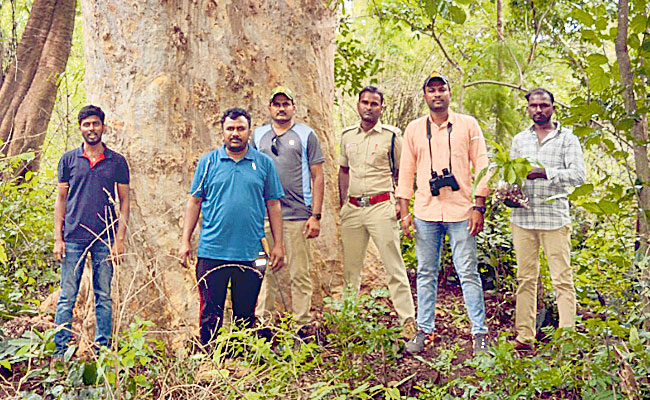 Researchers new plant identified in nallamala forest
