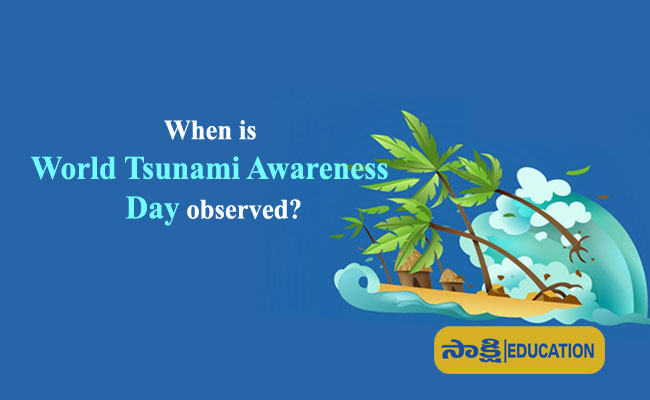 When is World Tsunami Awareness Day observed?