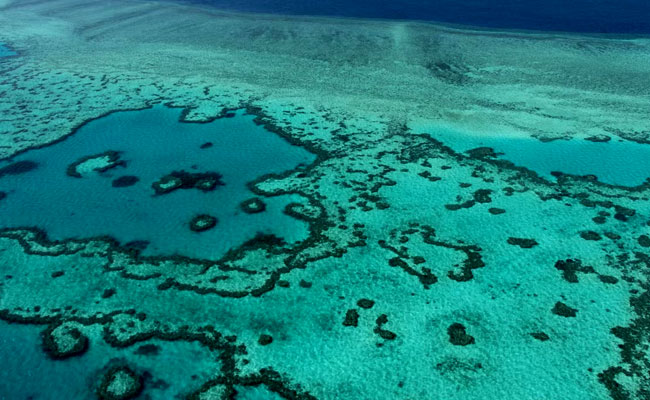 Australia’s Great Barrier Reef TO be listed as a World Heritage Site