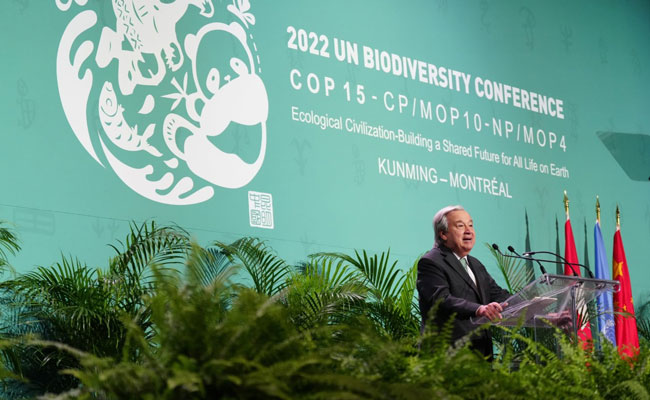UN Convention on Biological Diversity and COP 15 Commences in Canada