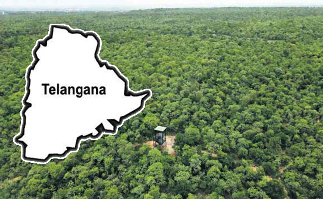 Telangana records 2nd highest forest cover increase in India