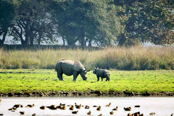 Assam Grants Industry Status to Its Tourism Sector