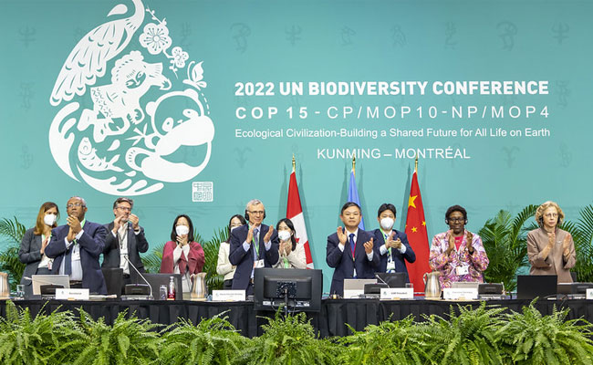 Global Biodiversity Framework is Approved by COP15