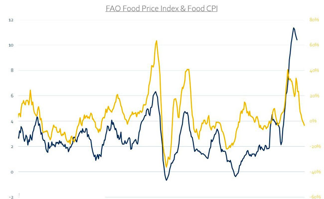 FAO Food Price Index – January 2023