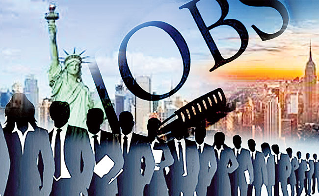 Job opportunities in different fields in America