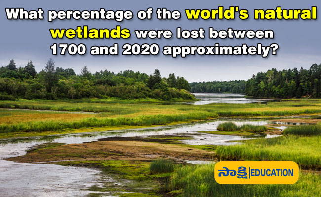 the world's natural wetlands