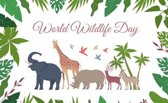 World Wildlife Day 2023: Celebrating 'Partnerships for Wildlife Conservation'