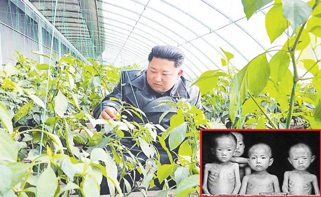 food shortage in North Korea