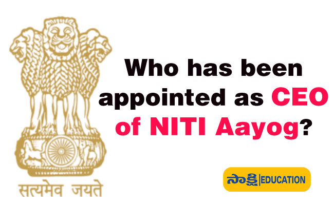 CEO of NITI Aayog