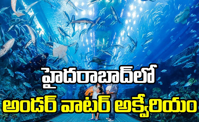 Aquarium In Hyderabad