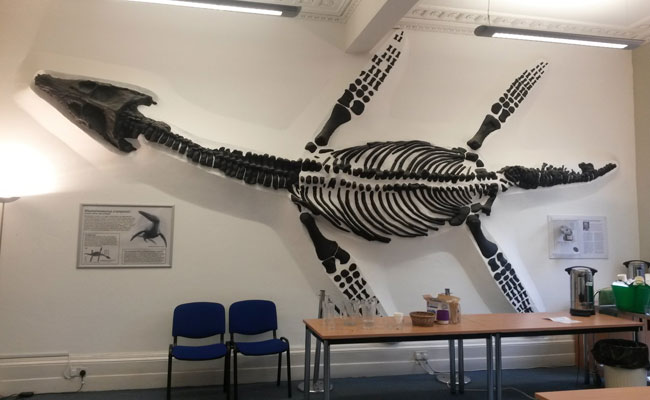 Pliosaur Discovered in England